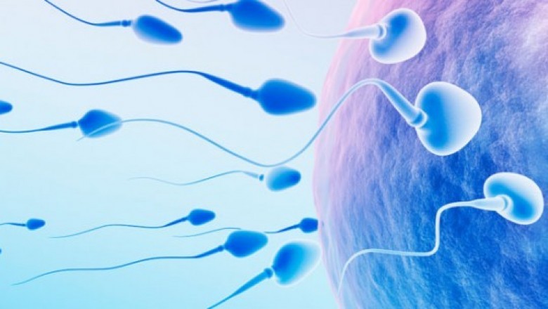  Solve the Problem of Male Infertility