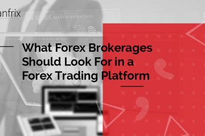 What Forex Brokerages Should Look For in a Forex Trading Platform | Sanfrix Blog