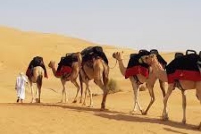 Desert Safari Sharjah AED 90 | Book now 058 129 6006 | 4x4 Home Pick&Drop