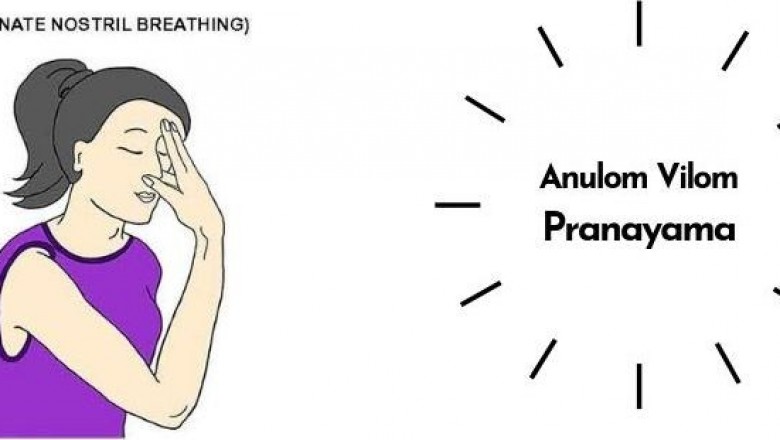 Anulom-Vilom Pranayama: How to do it – Yoga In Rishikesh – Sanskar Yoga Shala
