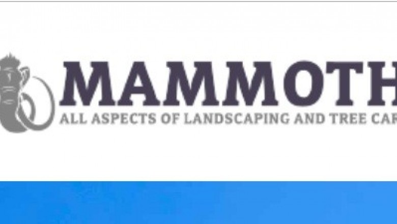 Landscaping Recommendations and Concepts