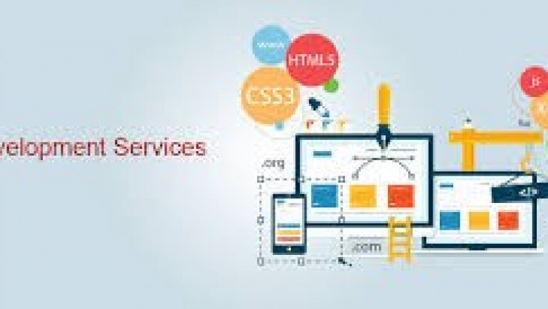 Why Do You Need Web Development Services?