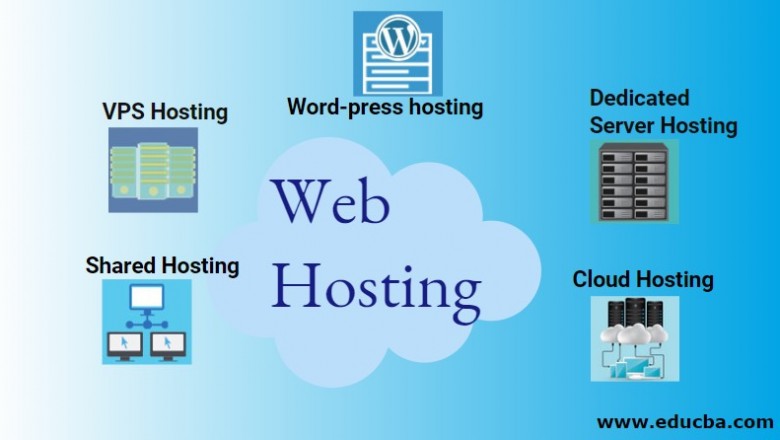 Web hosting definition | Digital media blog website