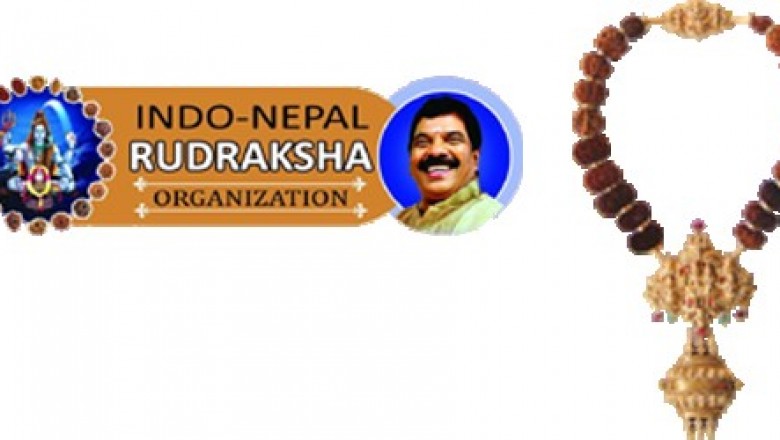 Eka Mukhi Rudraksha