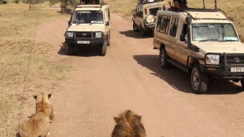 Tailor-made Safaris Tanzania