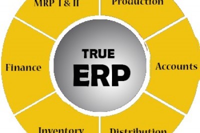 ERP implementers