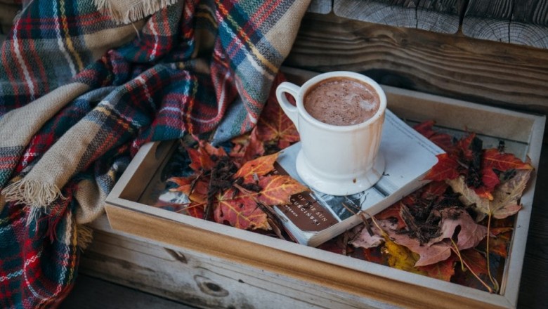 FALL HOME MAINTENANCE: ARE YOU READY FOR FALL AND WINTER?