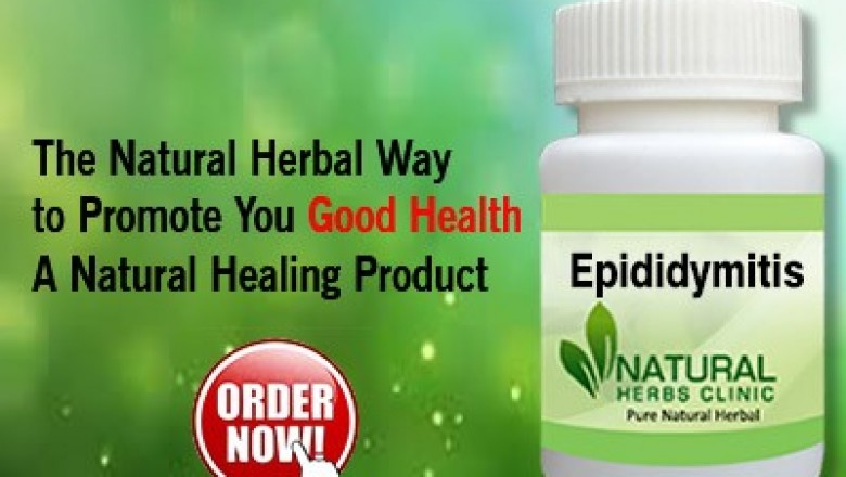 Herbal Treatment for Epididymitis - Natural Herbs Clinic