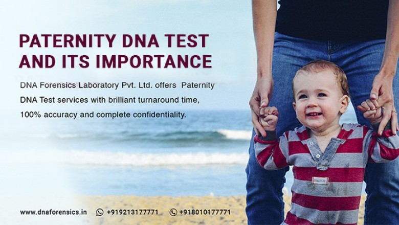 Paternity DNA test and Its Importance