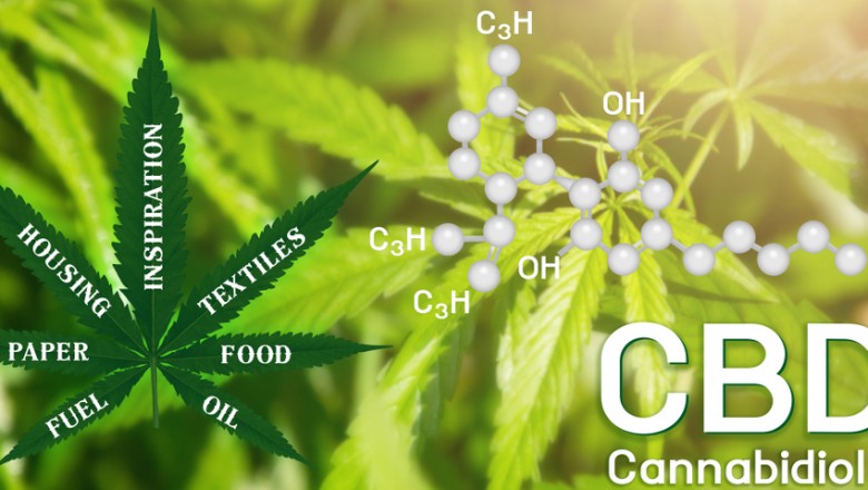 is cbd legal in the us | cbdsushicat