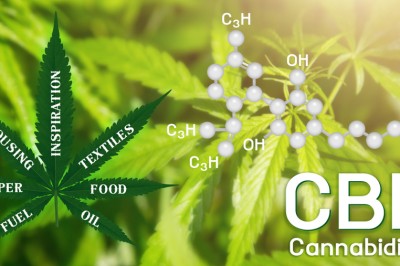 does cbd oil help overcome anxiety - cbdsushicat