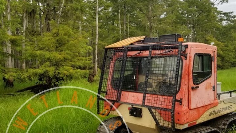  Airboat Rides Beaumont LA - WetLands Transportation