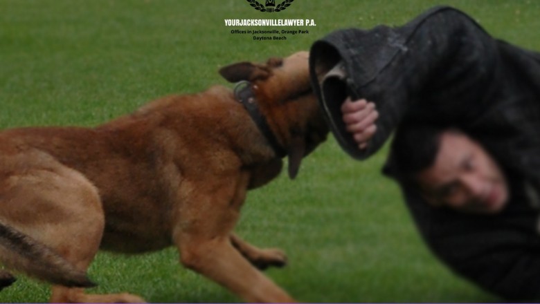dog bite attorney | lawyers for dog bites