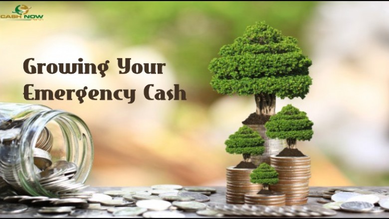 Growing Your Emergency Cash