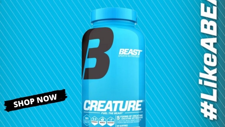 Best Muscle Recovery Supplements