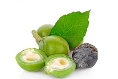 Sapindus Trifoliatus (Reetha) Liquid Extract in India 