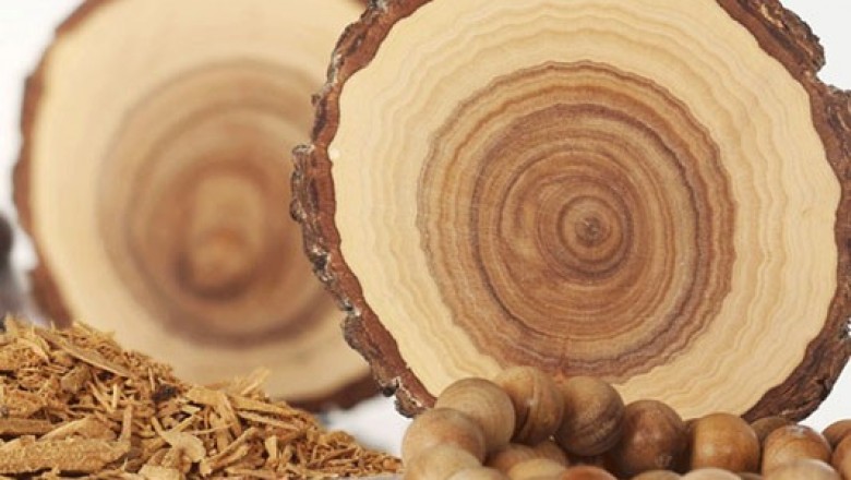 Santalum Album (Sandal) Liquid Extract Supplier in India