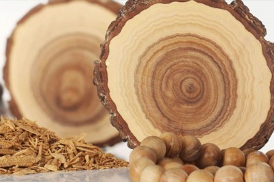 Santalum Album (Sandal) Liquid Extract Supplier in India