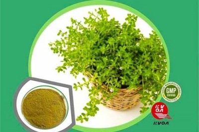 Centella Asiatica (Brahmi) Liquid Extract