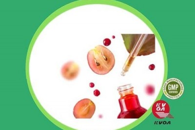 Herbal-Creation Extract Manufacturer in India 