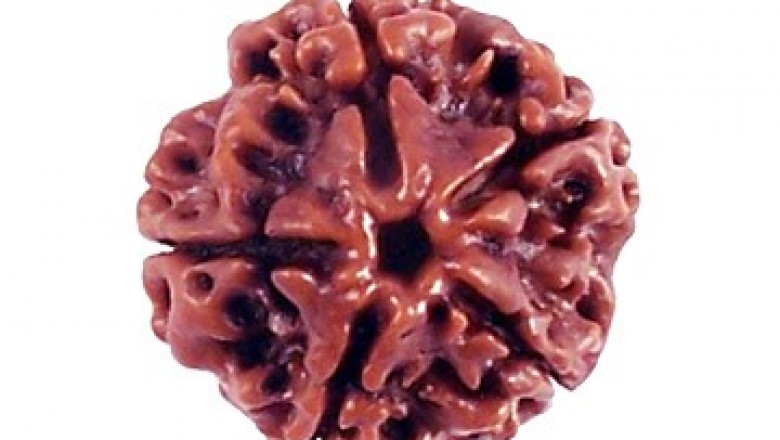 5 Mukhi Rudraksha