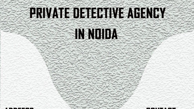 private detective in noida | Detective Raja