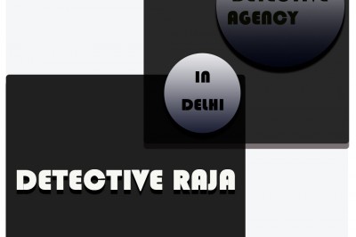  matrimonial detective in delhi|Detective Raja