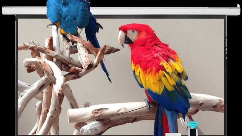 What is a Motorized Projection Screen and its types ? 