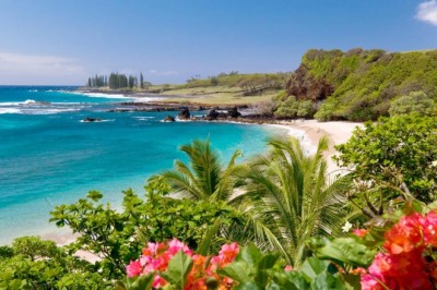Best Places to Eat In Honolulu, Hawaii