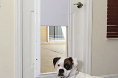 What to Know About Electronic Pet Doors?