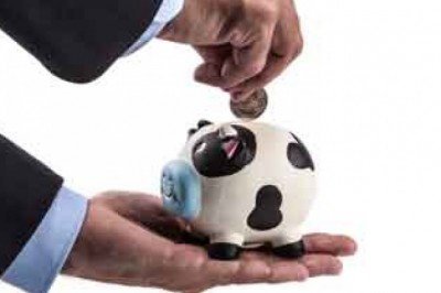 Take Advantage Of Accounting Firms Calgary