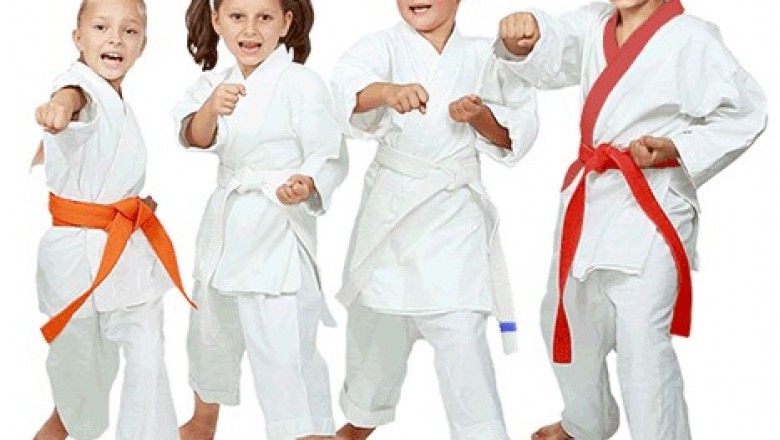 Best Economical Reem Island Karate and Martial Arts Classes in Abu Dhabi