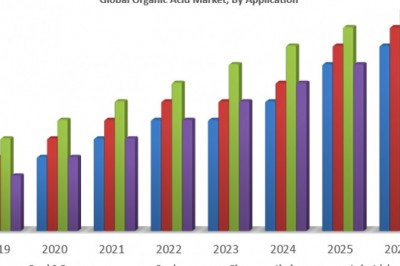 Global Organic Acid Market