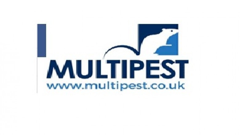 Pest Control Chiswick