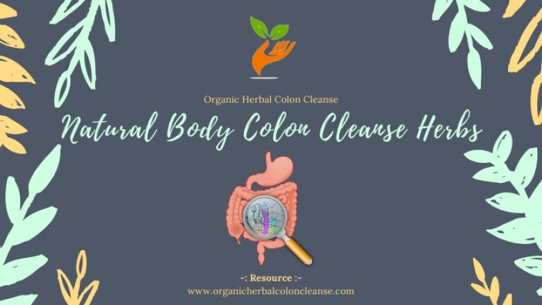 Parasite Colon Cleanse