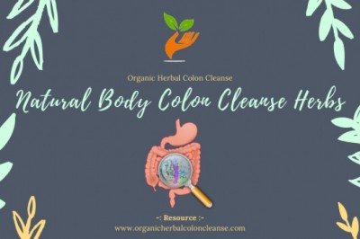 Parasite Colon Cleanse