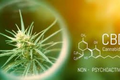CBD Vape Oil