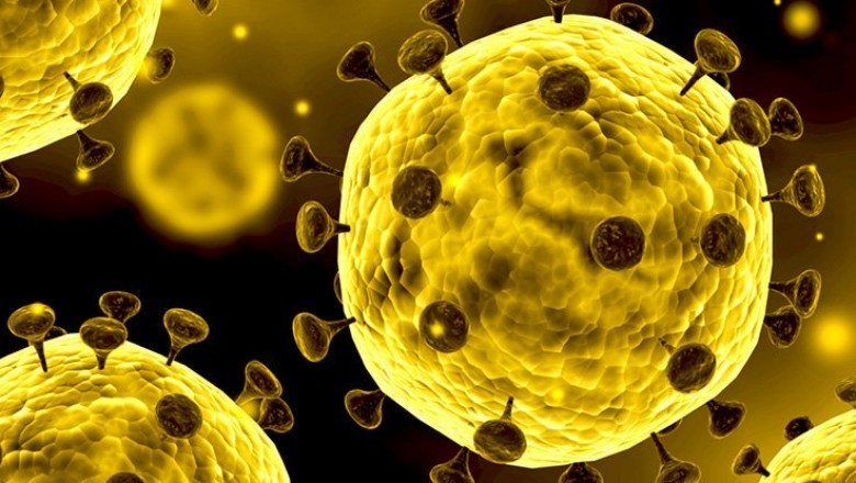 What is Coronavirus & How to Protect Yourself from it?