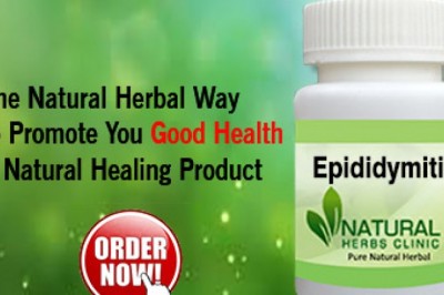 Herbal Treatment for Epididymitis with Natural Remedies