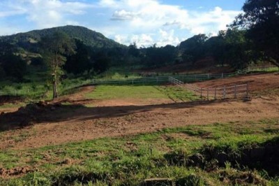 Homestay and Farmland in krishnagiri - forest hills estate