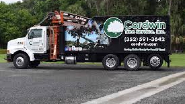 Gainesville Tree Trimming Service