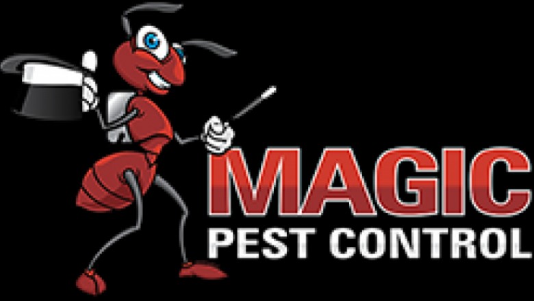Termite control phoenix  Exterminator queen creek az