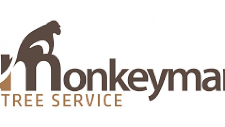 Tree Removal Lake Oswego