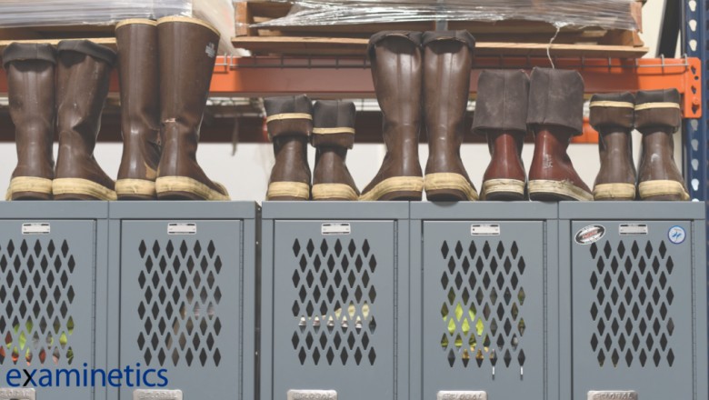 Three Ways to Prevent Slips, Trips and Falls in your Workplace - Audiometric and Mobile Health Testing &amp; Screening | Examinetics