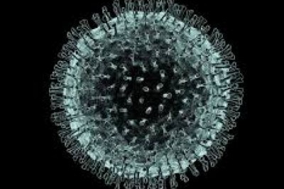 Breaking News, Trending News India, Sports News for Today