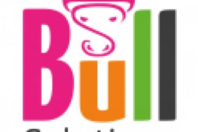 Get Help From a Marketing Specialist | Katie Bullon and Team