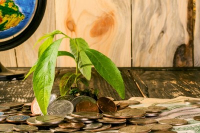 How to Earn Money from Home