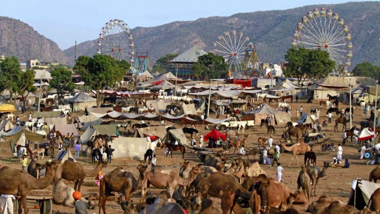Jodhpur Tour Packages, Book Jodhpur Packages Online at Padharo