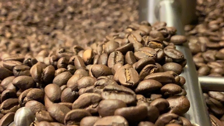 Buy Best Coffee Bean Online