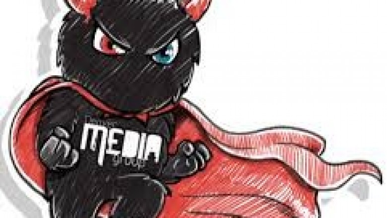 Professional SEO Consultants Denver